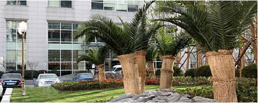 上海交通大学医学院附属第九人民医院整形美容科上海第九人民医院院内环境