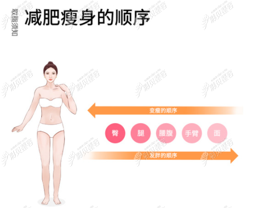 手臂吸脂局麻还是全麻跟面积大小有关