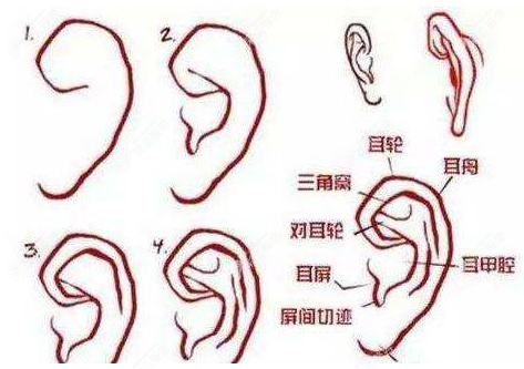 耳再造手术是怎么做的