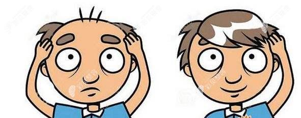 为什么公办医院不做植发项目