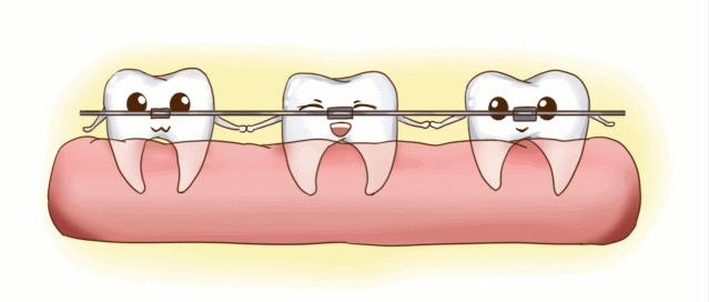 半口牙齿矫正和全口牙齿矫正的区别