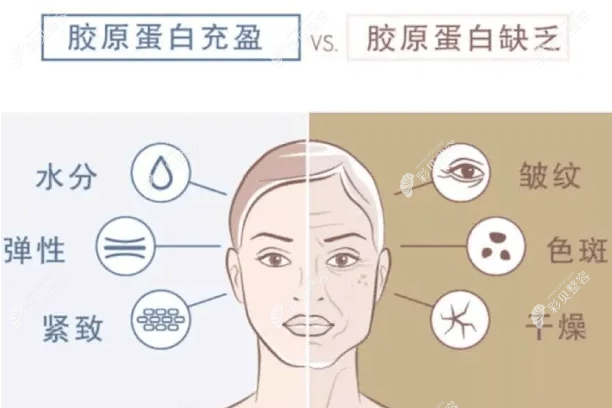 双美胶原蛋白肤柔美怎么样