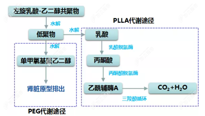 宝尼达和濡白天使针成分区别对比